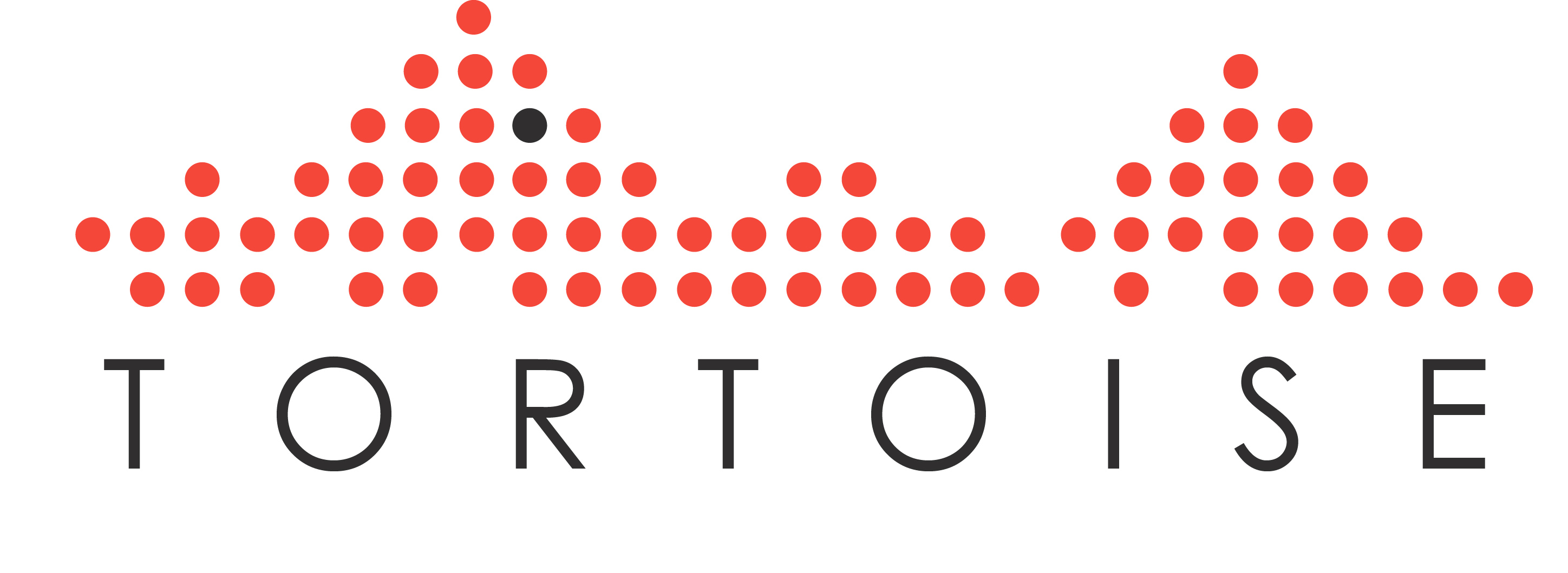 logo_TORTOISE_def_1.jpeg